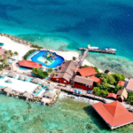 De Palm Island