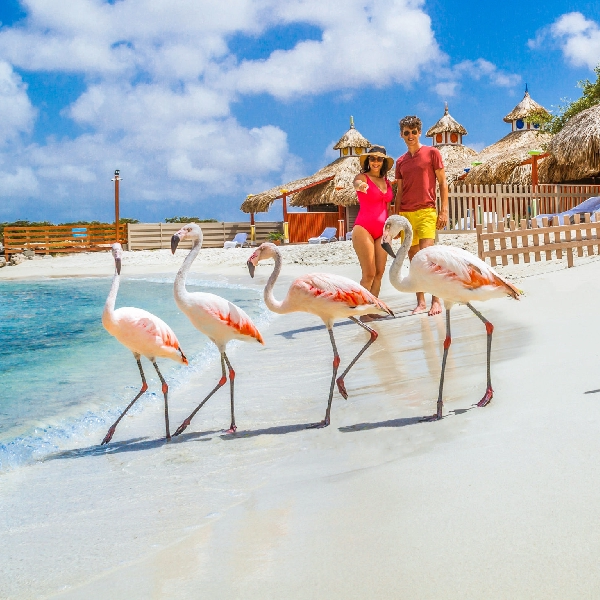De Palm Island