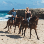 Private – Morning Tour