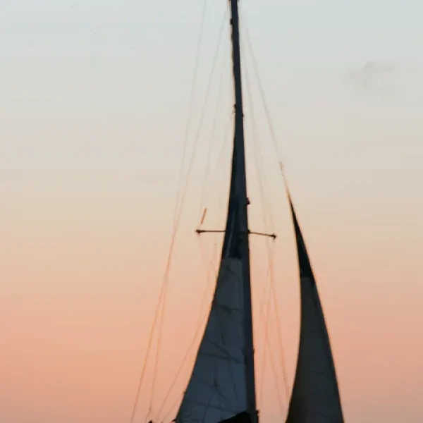 CMP_1134-e1746734736817