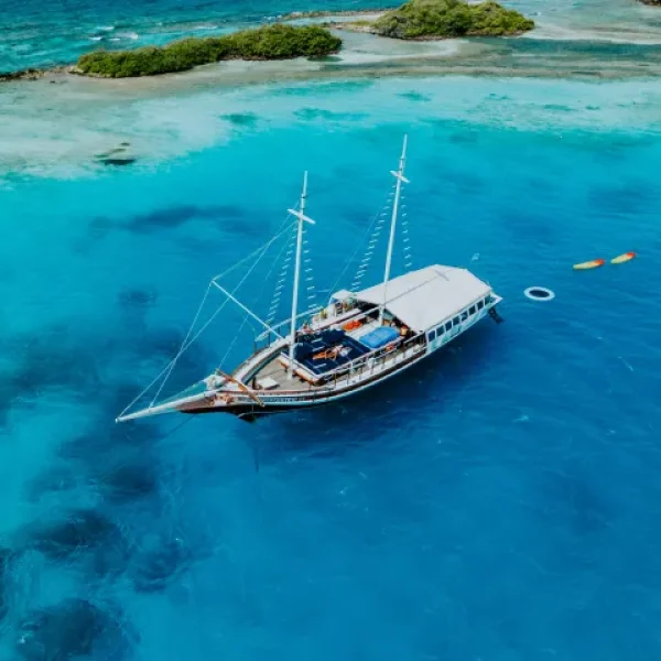 DJI_20250329102434_0232_D