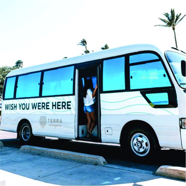 Transportation for Your Entire Stay in Aruba